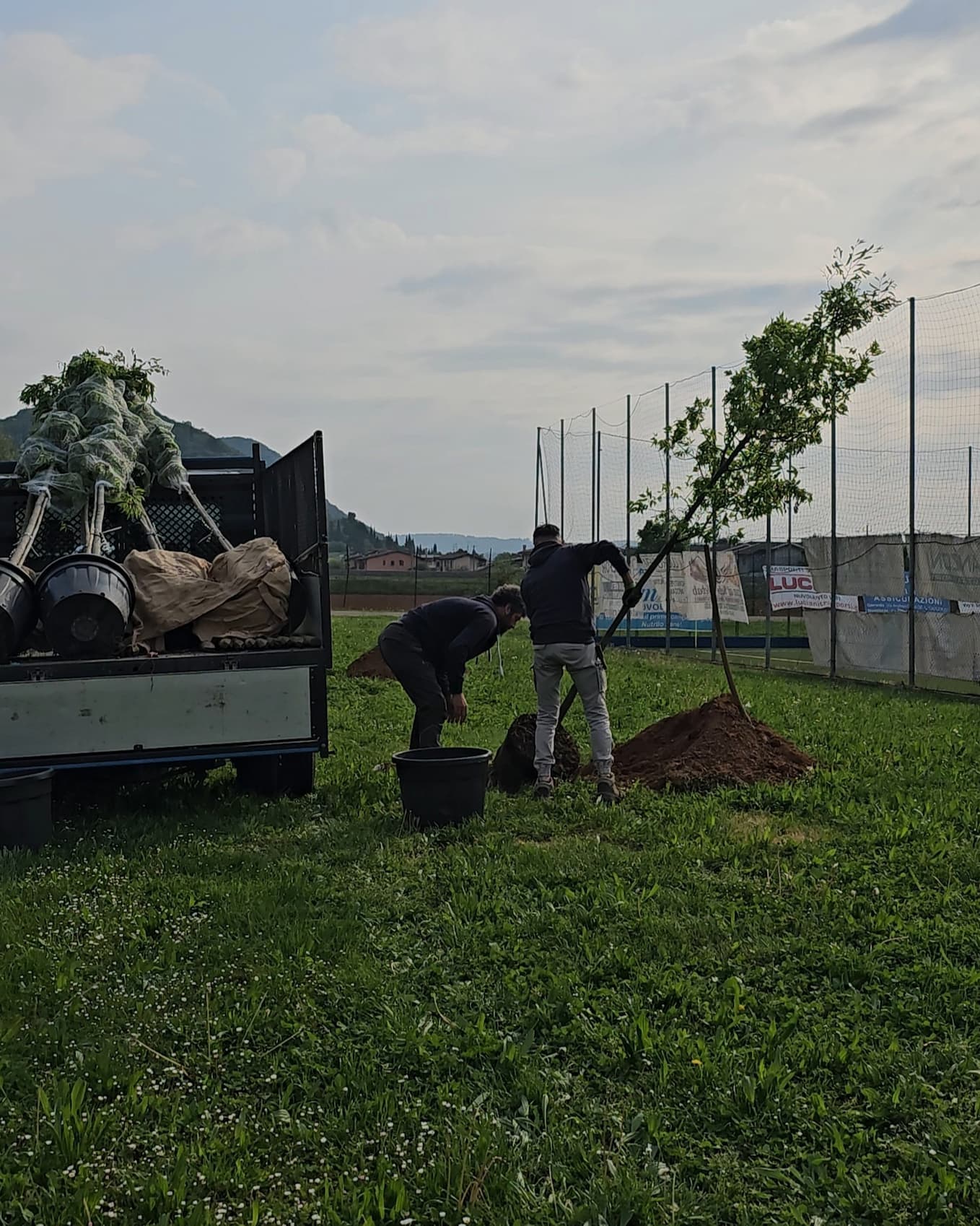 8 Alberi Piantati